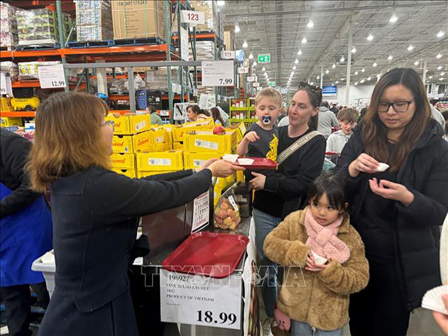 Vietnamese lychee selling well at Costco stores in Australia